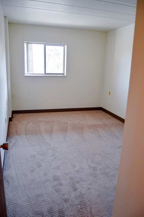 A room with a carpeted floor and a window.