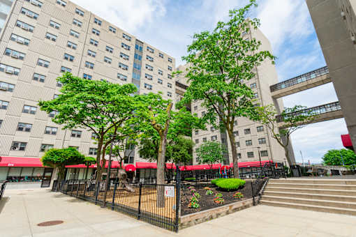A tree-lined courtyard in front of a large building.