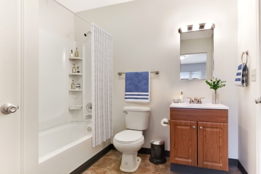 Bathroom With Vanity  at Summit Wood Apartments, Watertown, 13601