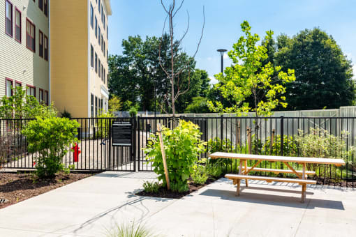 Dog Park at North Square Apartments in Amherst, MA