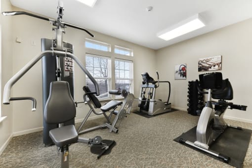 Fitness Center with Workout Equipment  at Summit Wood Apartments, New York, 13601