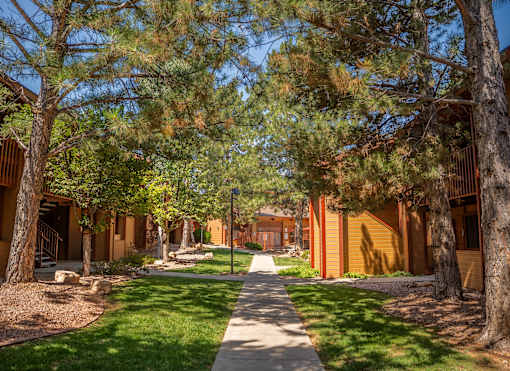 A tree-lined walkway leads to a series of buildings.