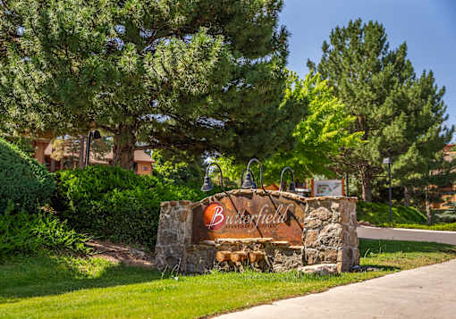 A sign that says "Bearcreek" is in front of a pine tree.