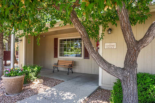A tree is in front of a building with a bench in front of it.