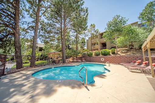 A small pool surrounded by trees and a fence.