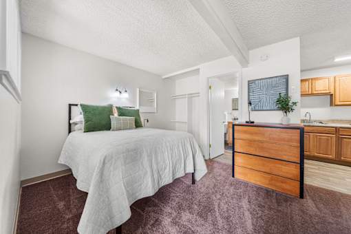 A bedroom with a bed, dresser, and a plant on the counter.