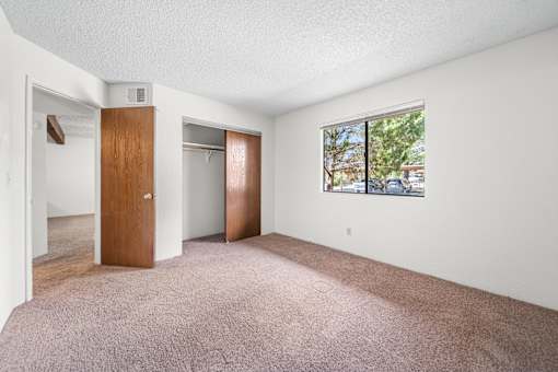 A room with a carpeted floor and a window showing a street view.