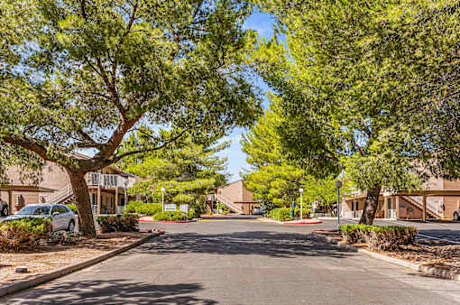 A tree-lined street with a car parked on the side.