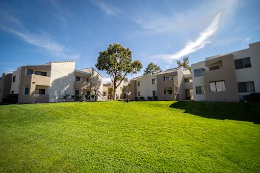 Large grassy area at Desert Springs Apartments.