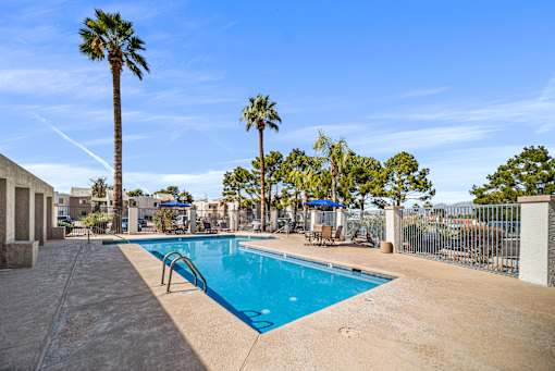 A swimming pool surrounded by palm trees and a fence.