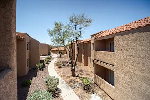 A tree stands in the middle of a courtyard between two rows of houses.