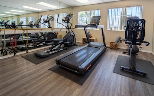 A gym with treadmills, elliptical machines, and a stationary bike.
