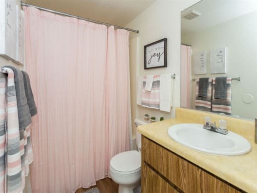 Luxurious Bathroom at Pine View Village Apartments, Flagstaff