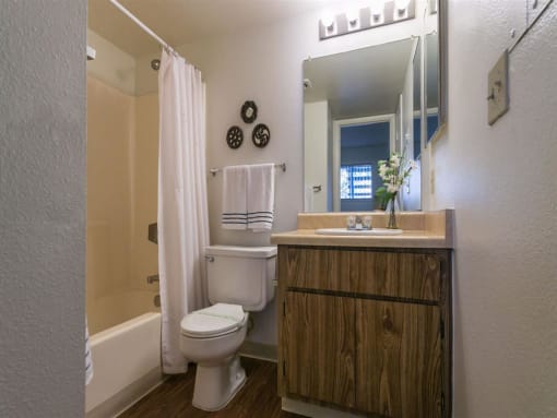 Bathroom With Vanity Lights at Pine View Village Apartments, Arizona