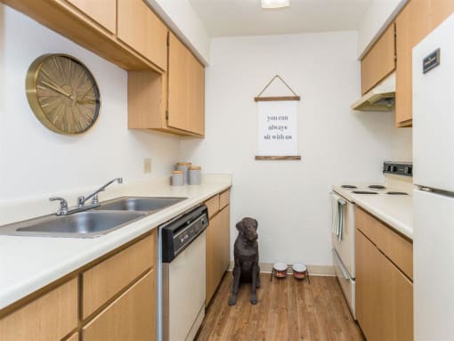 Chef-Inspired Kitchens at Woodlands Village Apartments, Flagstaff, Arizona