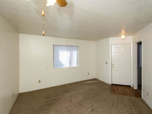 Beige Carpet In Bedroom at Woodlands Village Apartments, Arizona, 86001