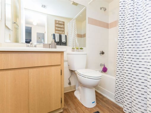 Luxurious Bathroom at Woodlands Village Apartments, Flagstaff, AZ, 86001