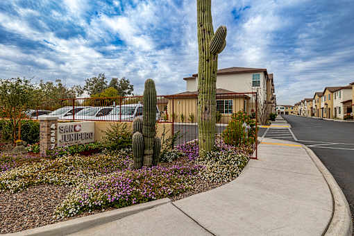 A cactus is in the front yard of a home.