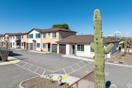 a cactus plant in front of a parking lot