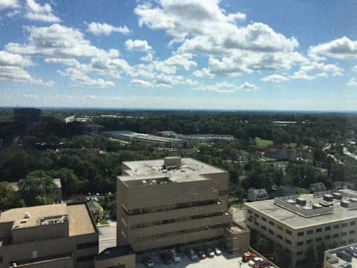 A view of a city from a high vantage point with buildings and cars visible.