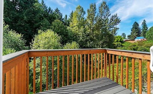 A wooden deck leads to a lush green forest.
