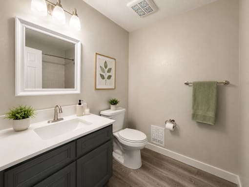A bathroom with a white toilet, a sink, and a mirror.