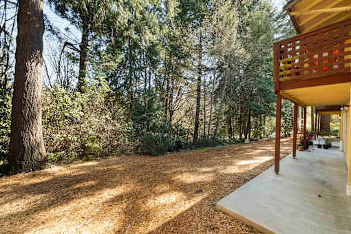 Trees behind Community