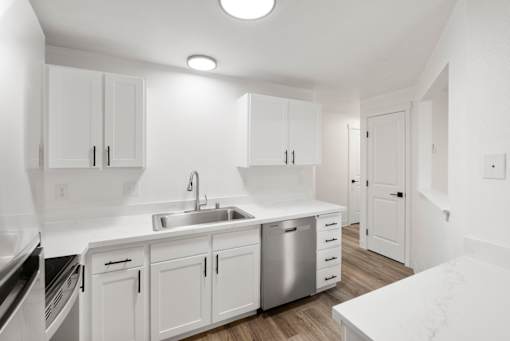 A white kitchen with a sink, dishwasher, and cabinets.