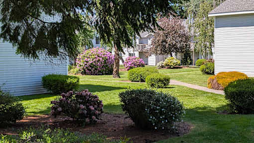A well-maintained garden with a variety of plants and a house in the background.