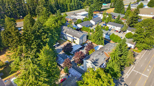 A bird's eye view of a residential area with houses and trees.