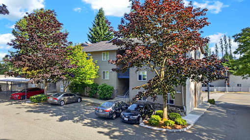 A tree with red leaves is in front of a grey house.