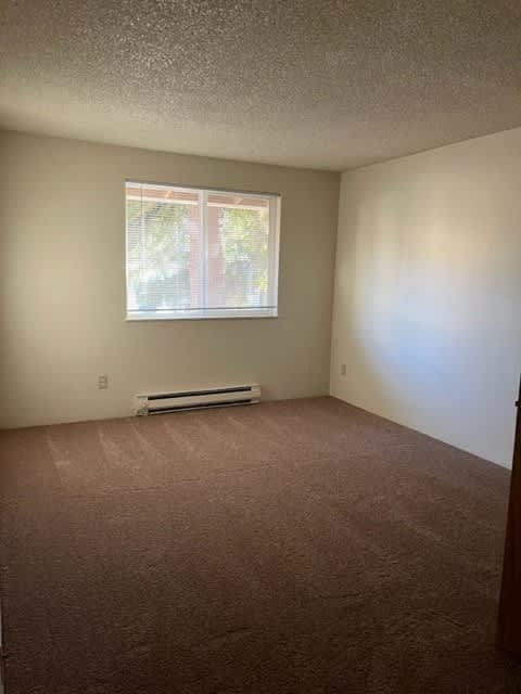 A room with a window and a carpeted floor.