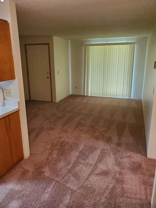 A room with a carpeted floor and a sliding door.