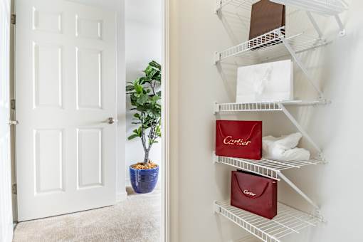 A white door is open to a hallway with a shelf and a plant.