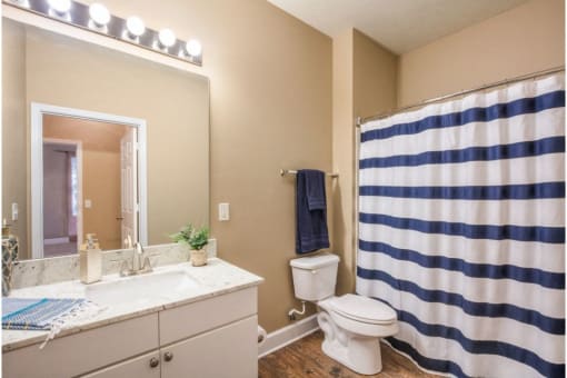Bathroom Fittings at Quail Ridge Highlands Apartment Homes, Bartlett, Tennessee, 38135
