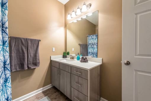 Bathroom Fittings at Canebrake Apartment Homes, Louisiana