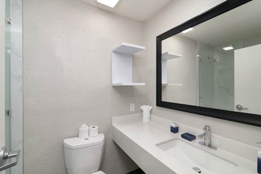 a bathroom with a mirror and a sink and a toilet