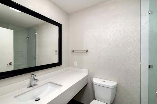 a bathroom with a sink and a mirror and a toilet