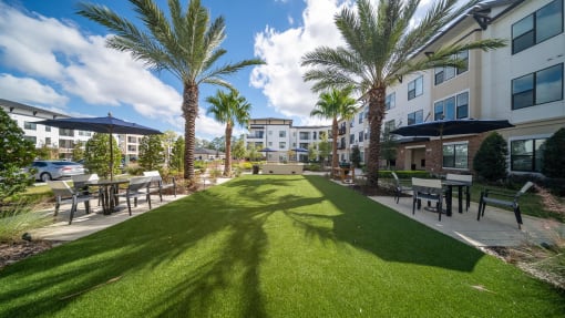 Grassy Courtyard at AVILA Apartments, Oviedo Florida