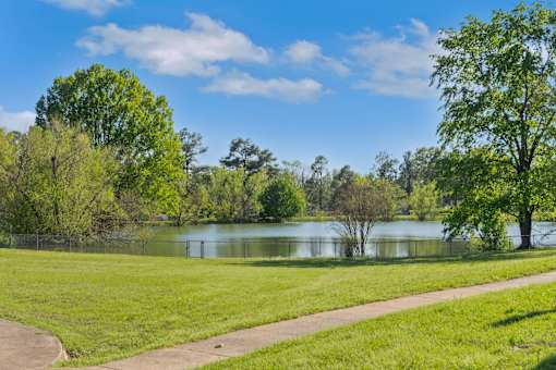 A serene park with a lake, trees, and a clear sky.