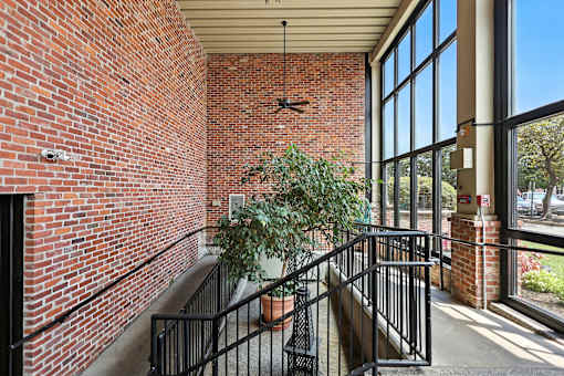 A potted plant sits on a balcony with a brick wall.