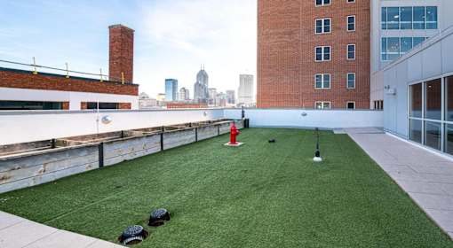 A small grassy area with a red fire hydrant in the middle.
