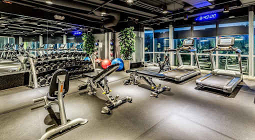A gym with a variety of equipment including treadmills, stationary bikes, and weight machines.