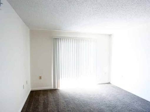 A room with a sliding door and wooden flooring.
