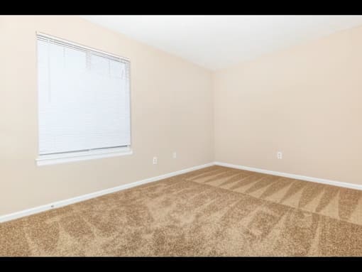 A room with a carpeted floor and a window with blinds.