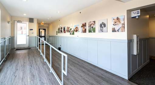 A hallway with a row of pictures of dogs on the wall.