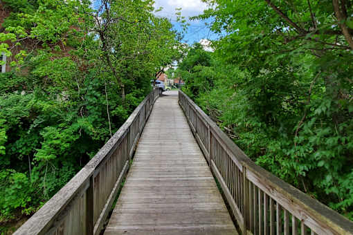 A wooden bridge leads through a lush green forest.