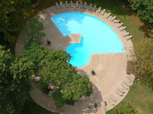 A small round pool surrounded by trees and chairs.