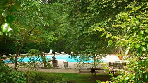 A pool surrounded by green trees and bushes.