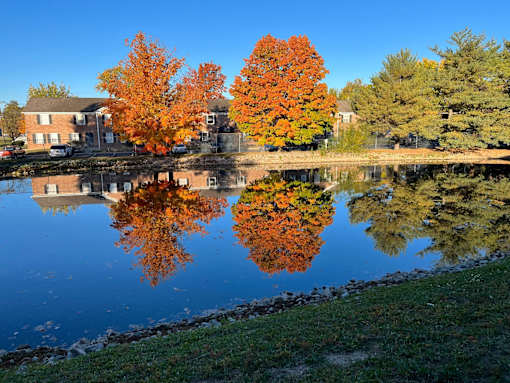 A serene lake at Hanna Village, Indianapolis, IN 46227
